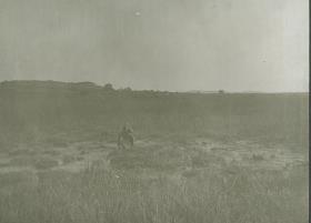 Salzsteppe südlich des Katna-Berges. (Ukamba)