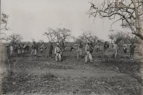 Jadgbeute