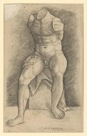 Torso Belvedere