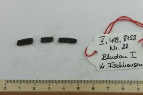 Fingerring