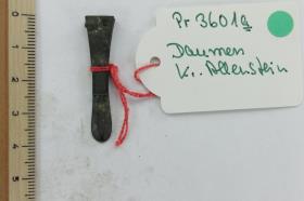 Riemenzunge