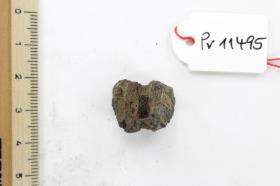 Holzfragment