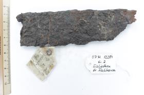 Schwertfragment