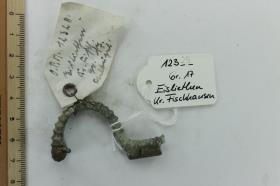 Armbrustfibel