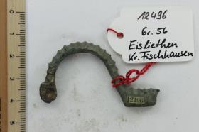 Armbrustfibel