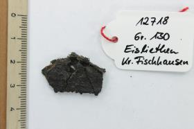 Schildbuckel