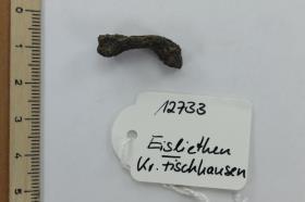 Gürtelschnallenfragment