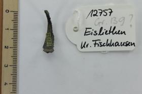 Fingerring