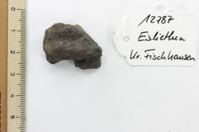 Gürtelschnallenfragment