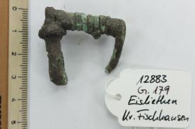 Fibelfragment