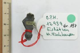 Fibelfuß