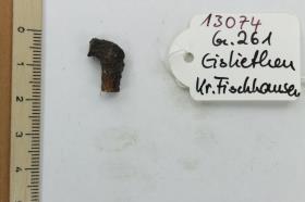 Gürtelschnalle