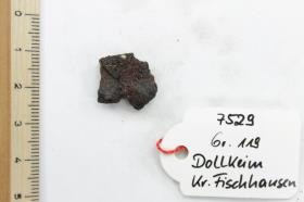 Gürtelschnallenfragment