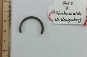 Fingerring