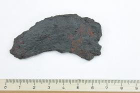Sichel oder Rasiermesser
