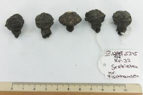Schellenberlocks