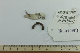 Eisenfragment