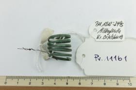 Fingerring