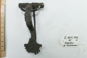 Sternfußfibel
