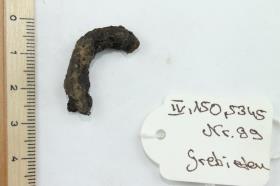Gürtelschnallenfragment