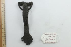 Sternfußfibel