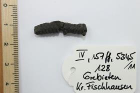 Fibelspirale