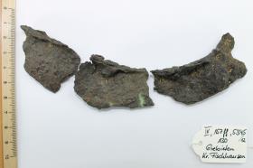 Schildbuckel