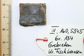 Gürtelschnallenfragment