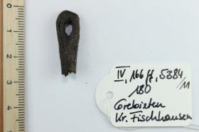 Riemenzungenfragment