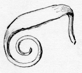 Spiralband