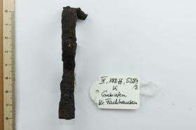 Armbrustfibel
