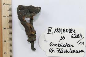 Armbrustfibel