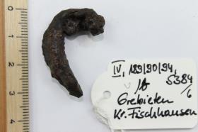 Gürtelschnallenfragment