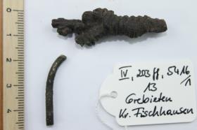 Fibelspirale