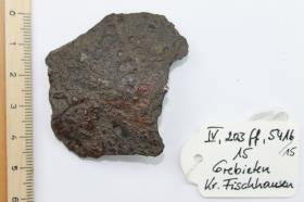 Schildbuckel