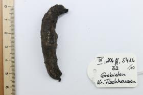 Gürtelschnallenfragment