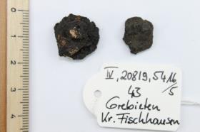 Schildbuckel