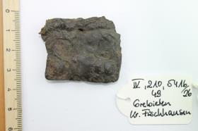 Gürtelschnallenfragment
