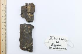 Schildfessel