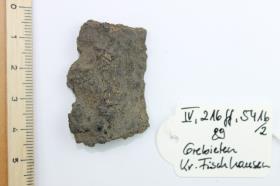 Schildfessel