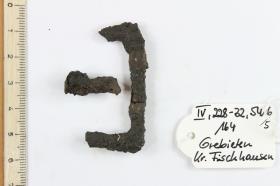 Gürtelschnallenfragmente