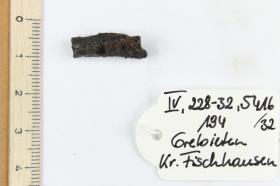 Fibelfragment
