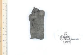 Schildfessel