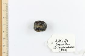 Glasperle