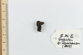 Gürtelschnallenfragment