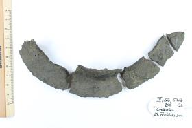 Schildbuckel