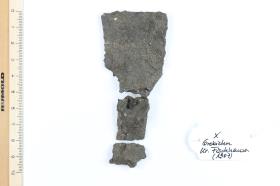 Schildfessel
