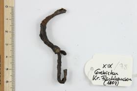 Eisenfibel