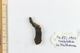 Fibelfragment