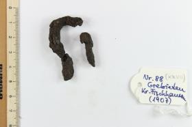 Gürtelschnallenfragment
